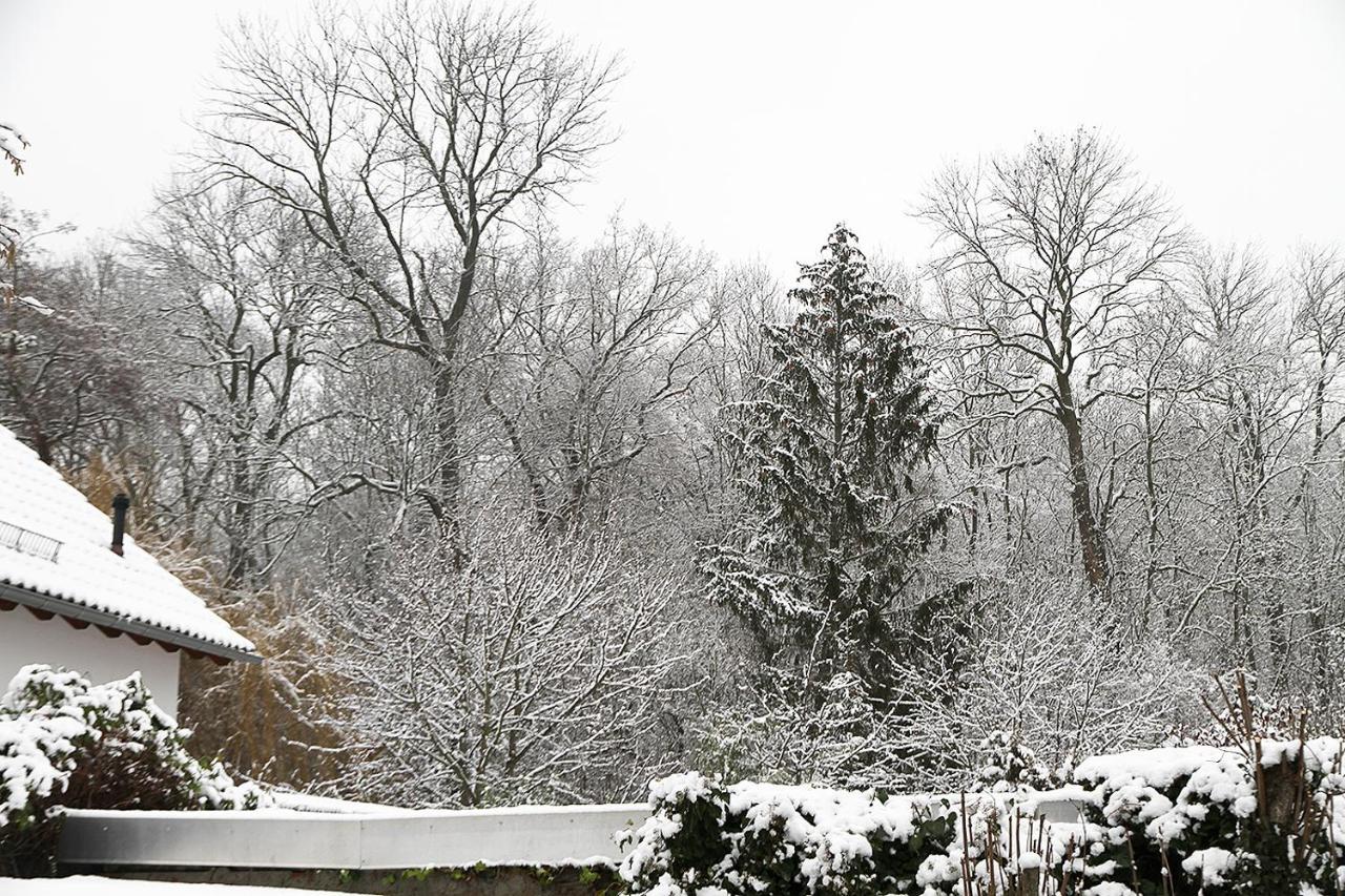 Haus Mit Kunst Zwischen Wald Und See Lipsk Zewnętrze zdjęcie