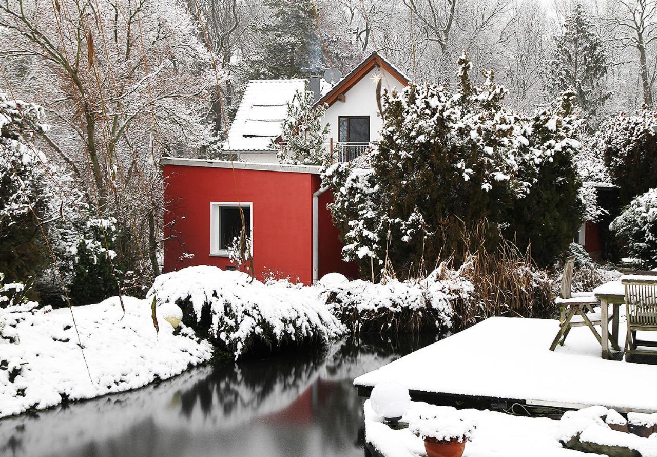 Haus Mit Kunst Zwischen Wald Und See Lipsk Zewnętrze zdjęcie