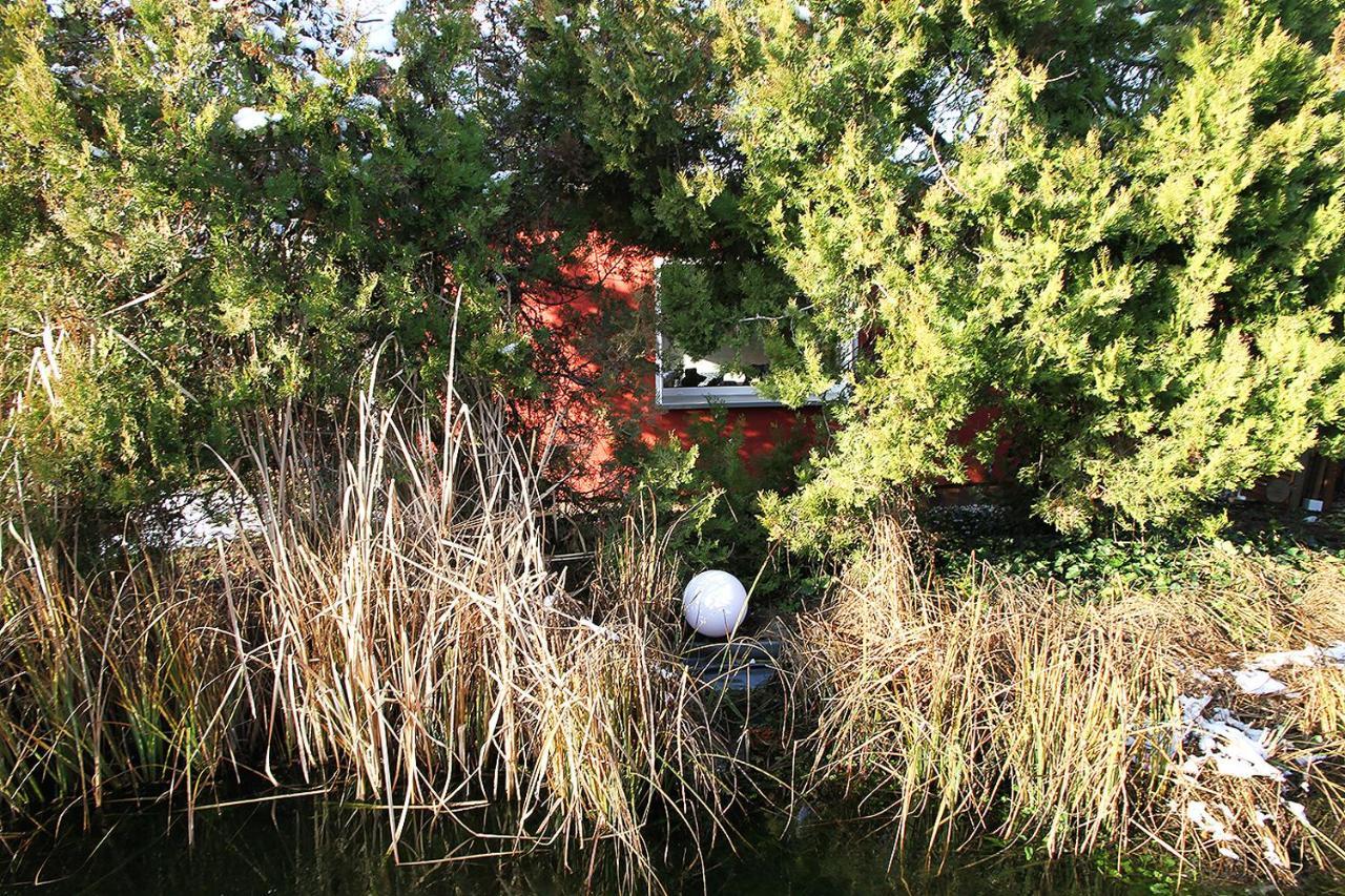 Haus Mit Kunst Zwischen Wald Und See Lipsk Zewnętrze zdjęcie